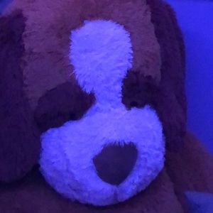 Meet your Posher, Noelle